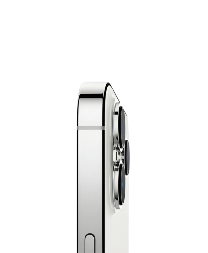 iPhone 13 pro max gris