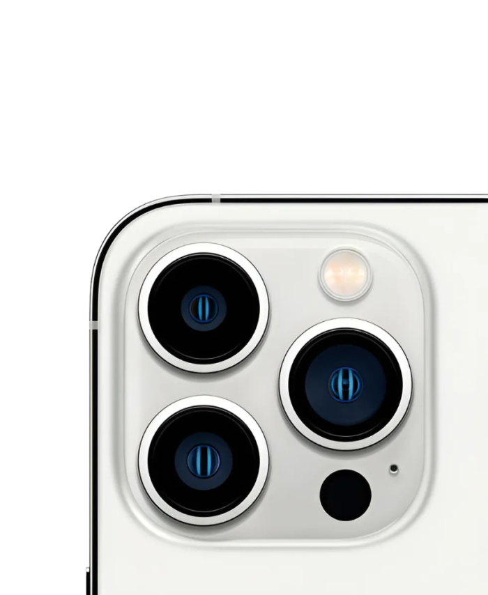 iPhone 13 pro max gris