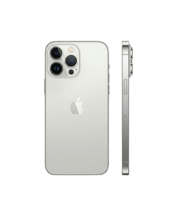 iPhone 13 pro max gris