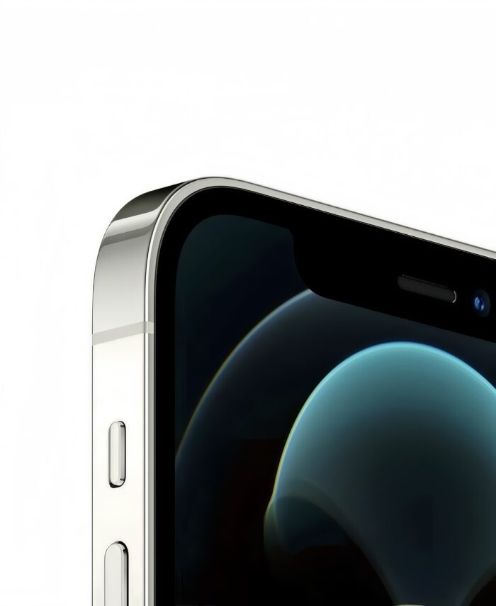 iPhone 12 Pro Max borde