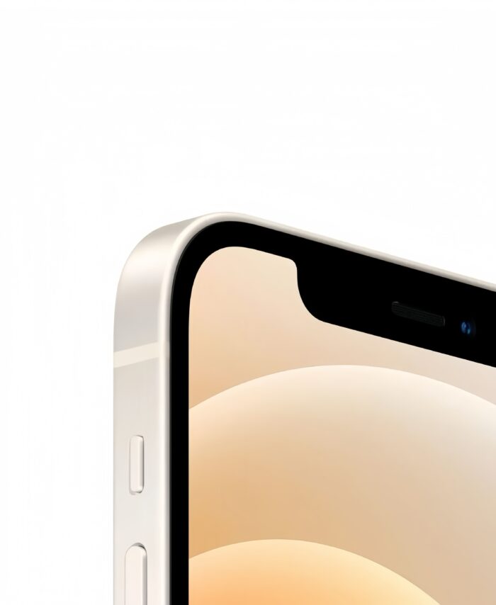 iPhone 12 borde plateado