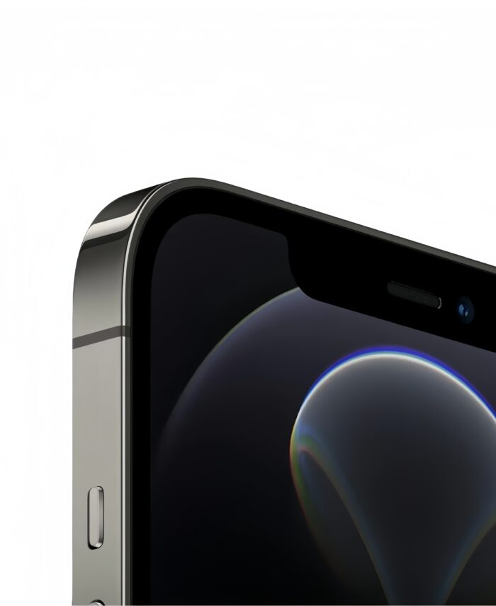 iPhone 12 Pro Gris